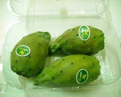 Figue de barbarie fraiche, cactus tunisie