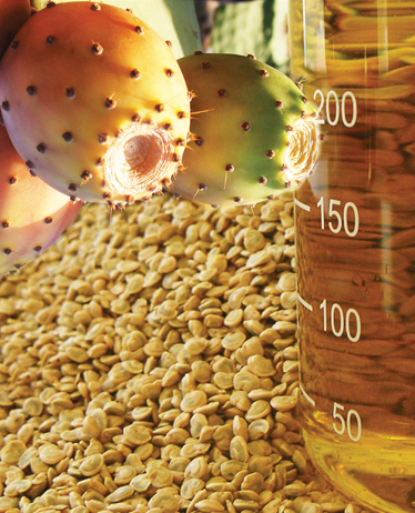 Huile de p�pins de figue de barbarie, Figue de barbarie fraiche, Poudre de Nopal, Fleurs sech�es de barbarie fraiche, Pulpe de figue de barbarie, Farine de graine figue de barbarie