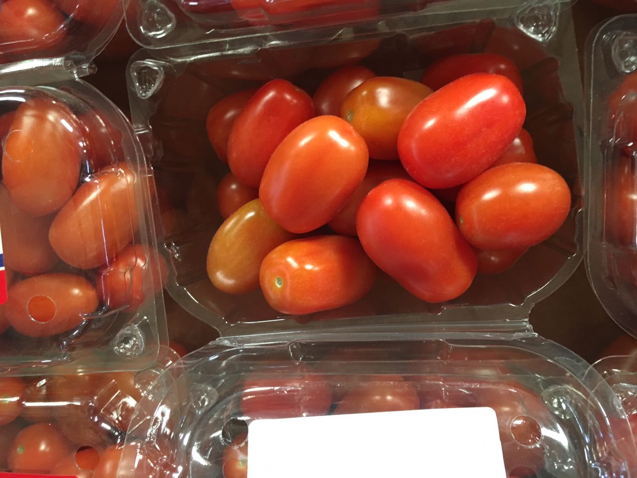 Figue de barbarie fraiche