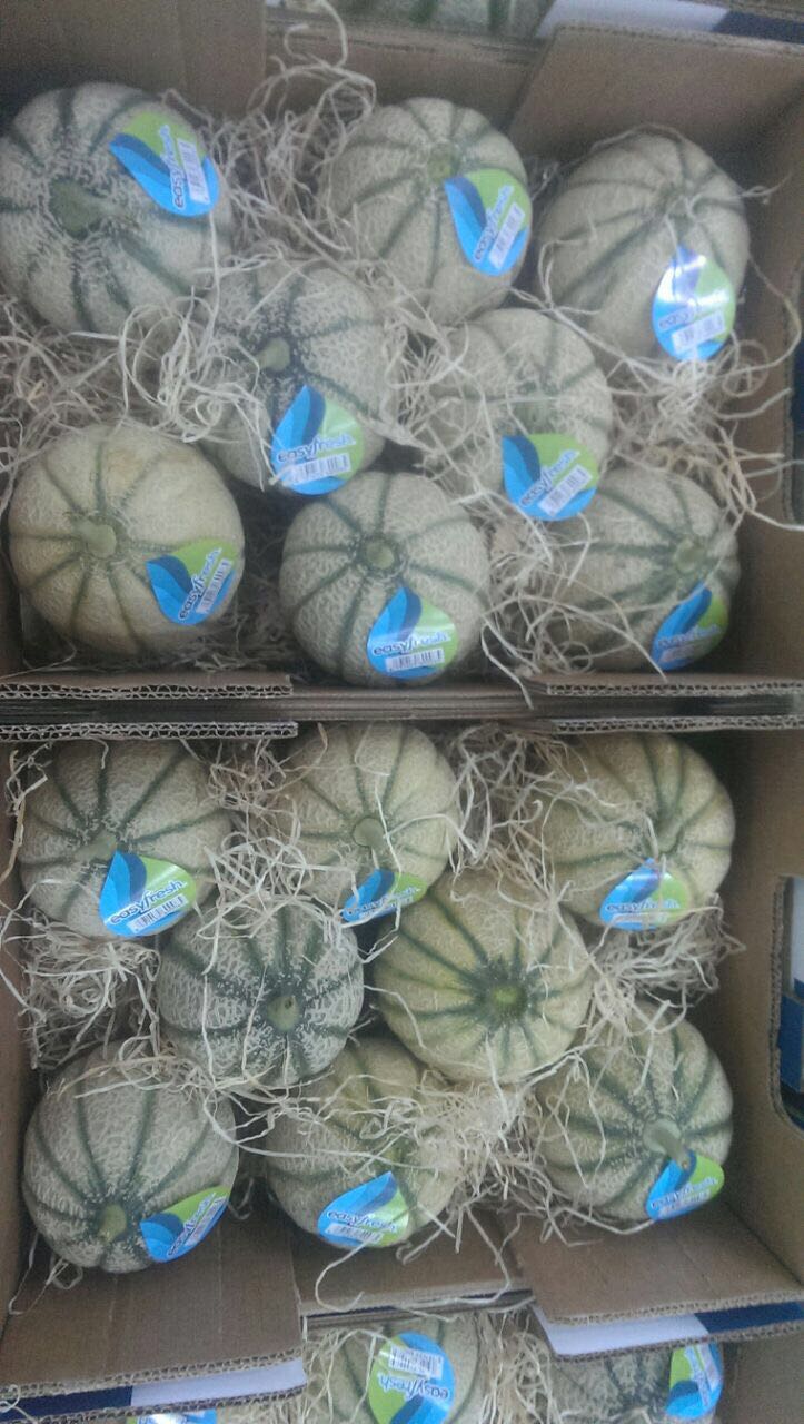 Figue de barbarie fraiche