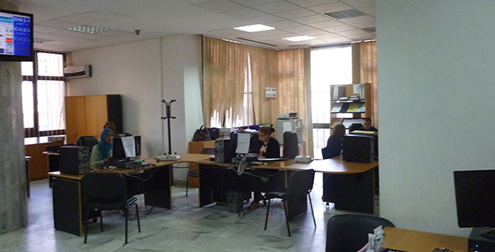 nopal tunisie, cactus tunisie