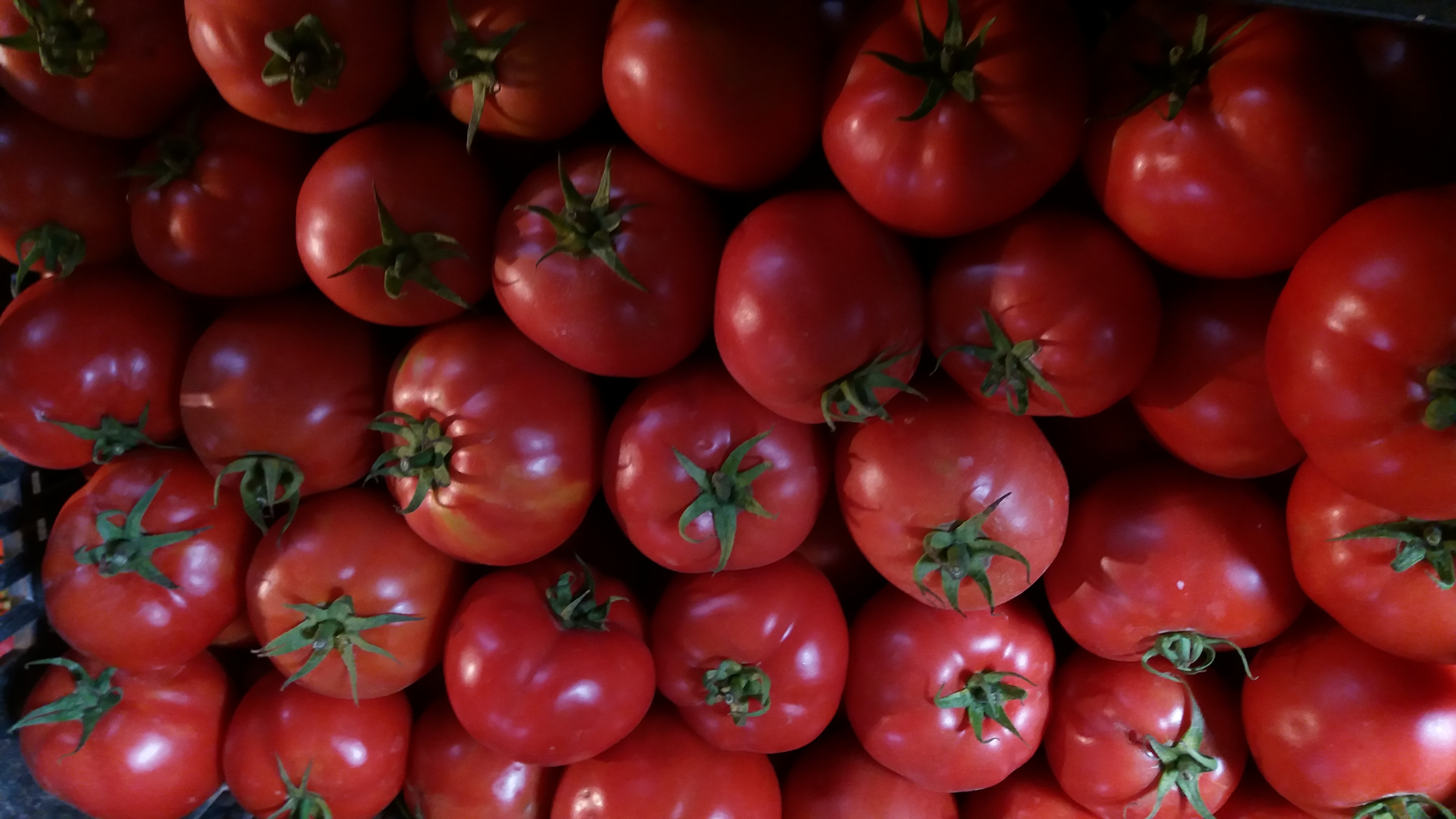 Figue de barbarie fraiche